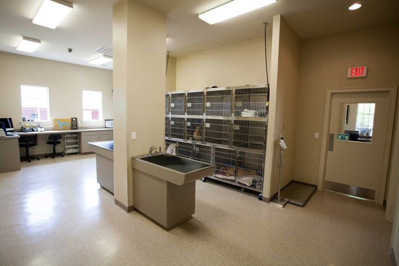 HighQuality Vet Hospital in Mandeville, LA Mandeville Animal Hospital